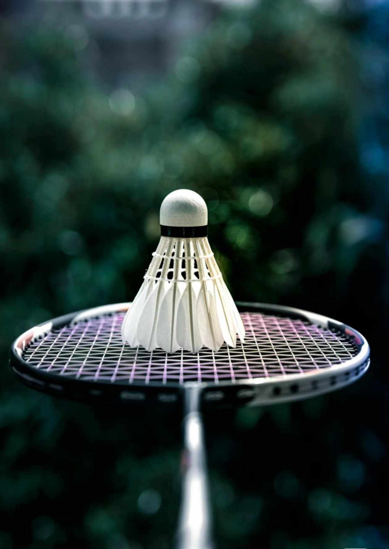 record vitesse badminton